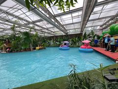 -南宫五洲植物乐园