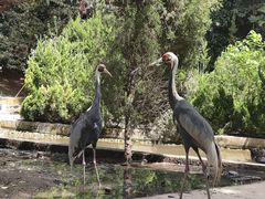 -五龙山野生动物王国