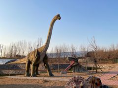 -西部长青自然儿童乐园