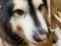 -白兔子密室(长寿路店)