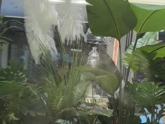 -马老六清真餐厅(雁滩店)
