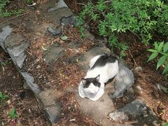 -抱犊寨风景区