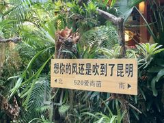 -南屏步行街
