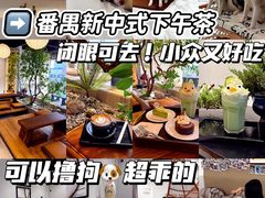 -星多哈·狗咖·拼豆·咖啡