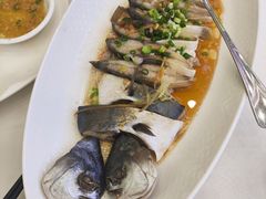 -渔意楼·驰名沙田乳鸽(五羊店)