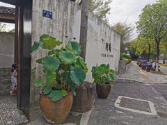 -几荷·恰似故人来(秀水广场店)