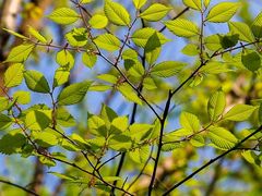 -广富林郊野公园
