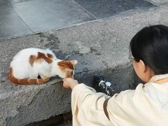 -龙华素斋(龙华路店)