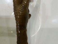 android_upload_pic-老乡鸡(宿州汴河路店)
