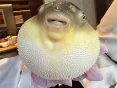 -永安鱼庄·镇江菜(东吴路店)