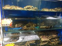 水产区-蚝专家(北滘店)