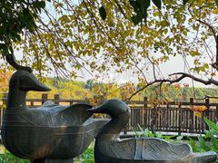 -东湖落雁景区