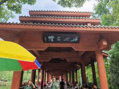 -重庆彩云湖湿地公园