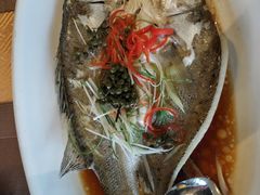 白蕉海鲈鱼-江南原著(中联广场店)