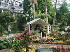 -北京植物园-展览温室