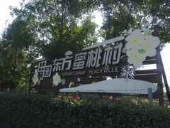 -田园东方蜜桃村的田野营地