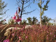 -汉长安城未央宫国家考古遗址公园