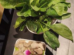 -京悦南门涮羊肉·羊蝎子火锅(田林路店)