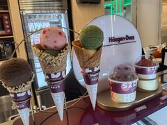 -哈根达斯(龙湖时代天街店)