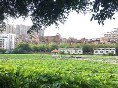 -潘塘公园