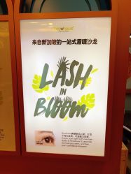 点击看大图 -Browhaus眉睫沙龙