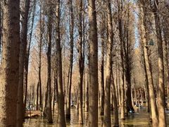 -捞渔河湿地公园
