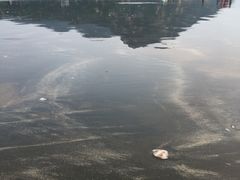 -台山黑沙湾海浴场