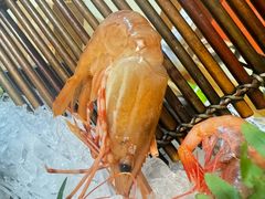 -和创柚子·会席日本料理(新区淮海街店)