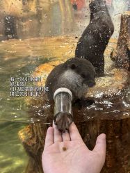 -Zoolung Zoolung动物主题公园(海信广场店)