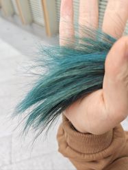 -镁连社·美联社