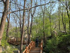 -大岭沟猕猴桃谷风景区