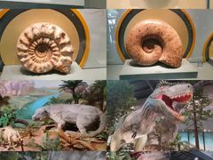 -湖南省地质博物馆