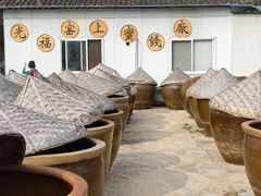 -苏州市吴中区光福窑上花果蜜饯厂