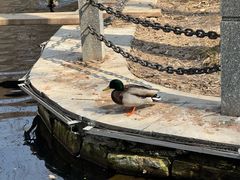 -水磨沟公园