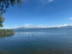 -洱海月湿地公园