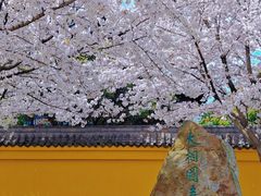 -三国水浒景区(无锡影视基地)