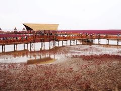 -红海滩国家风景廊道