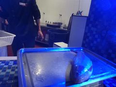 -沱江鱼府(丽江店)