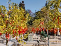 -莆田南少林寺