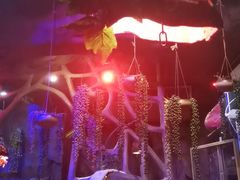 -醉小酒馆·川菜·江湖菜·重庆菜(观音桥旗舰店)