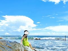 -广东惠东海龟国家级自然保护区