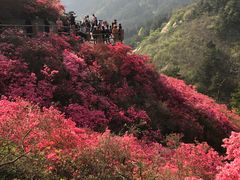 -木兰云雾山