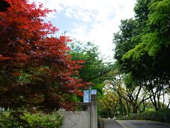 -重庆平顶山公园