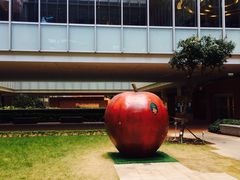 -香港大学