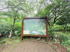 -汉拿树木园