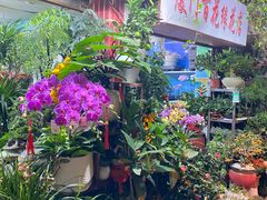 -溪岸路花鸟市场
