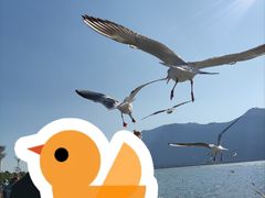 -海埂大坝