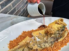 -滋粥楼·顺德菜(番禺广场总店)
