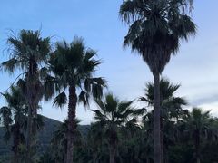 -普陀山风景名胜区-千步大沙