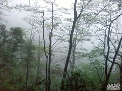 -大明山自然探索公园